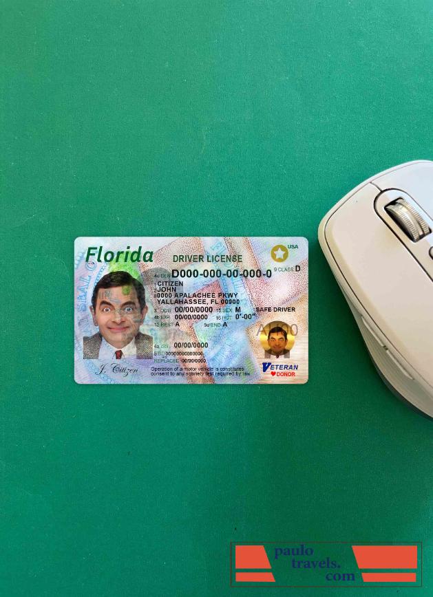 USA Florida DL photolook FRONT PSD template